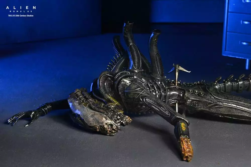 alien-romulus-action-figure-deluxe-suspended-lab-xenomorph-xx121-18-cm-1751249971-4