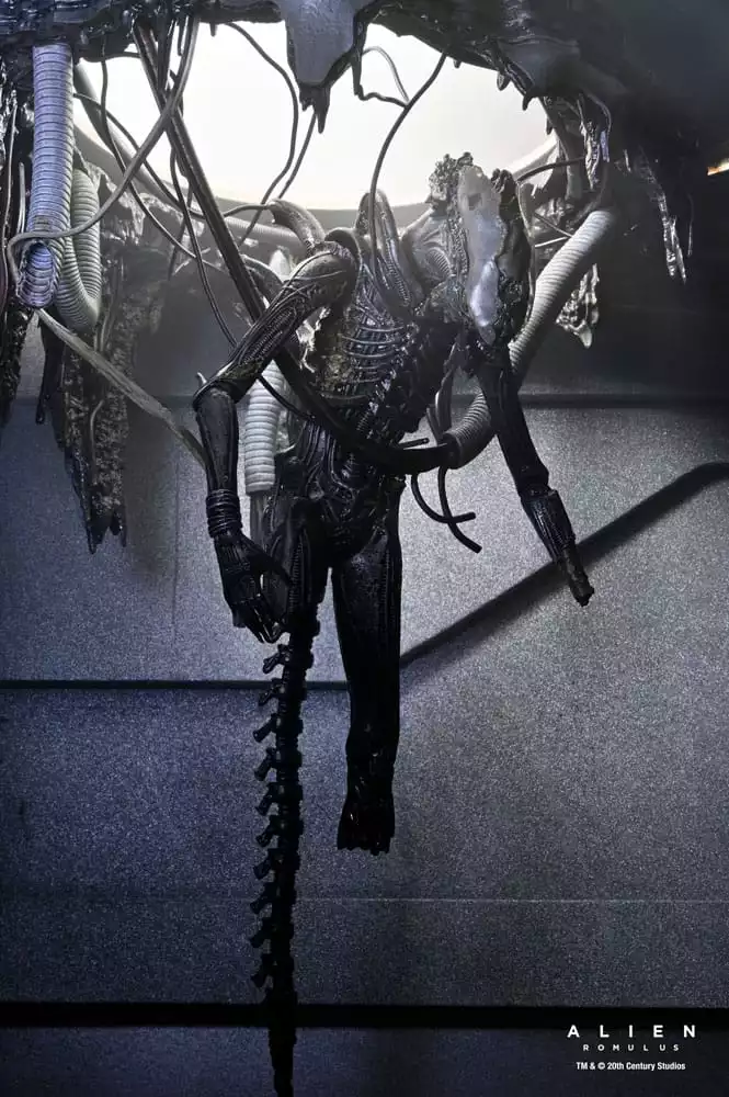 alien-romulus-action-figure-deluxe-suspended-lab-xenomorph-xx121-18-cm-1751249984-10