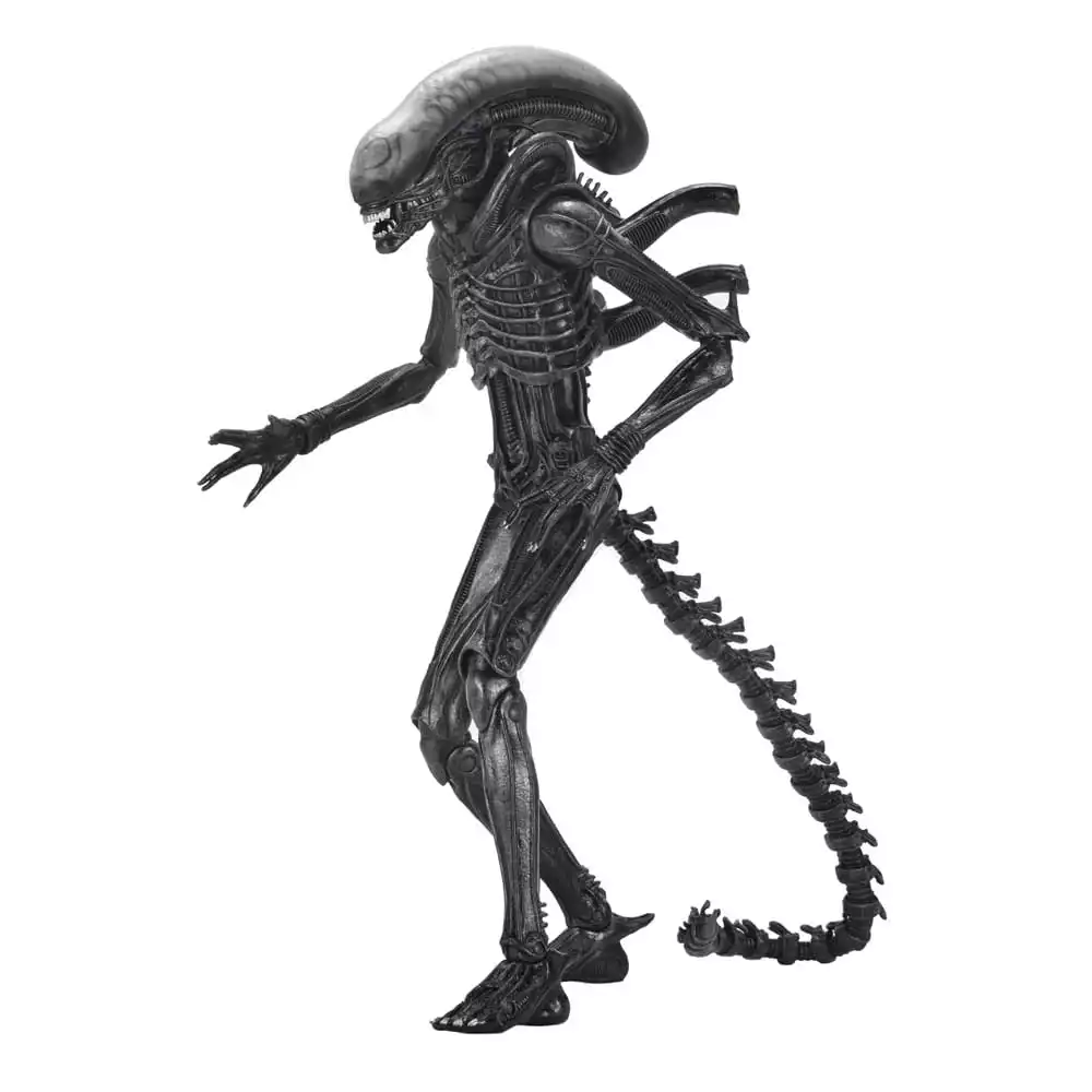 alien-romulus-action-figure-ultimate-xenomorph-xx121-18-cm-1751246768-0