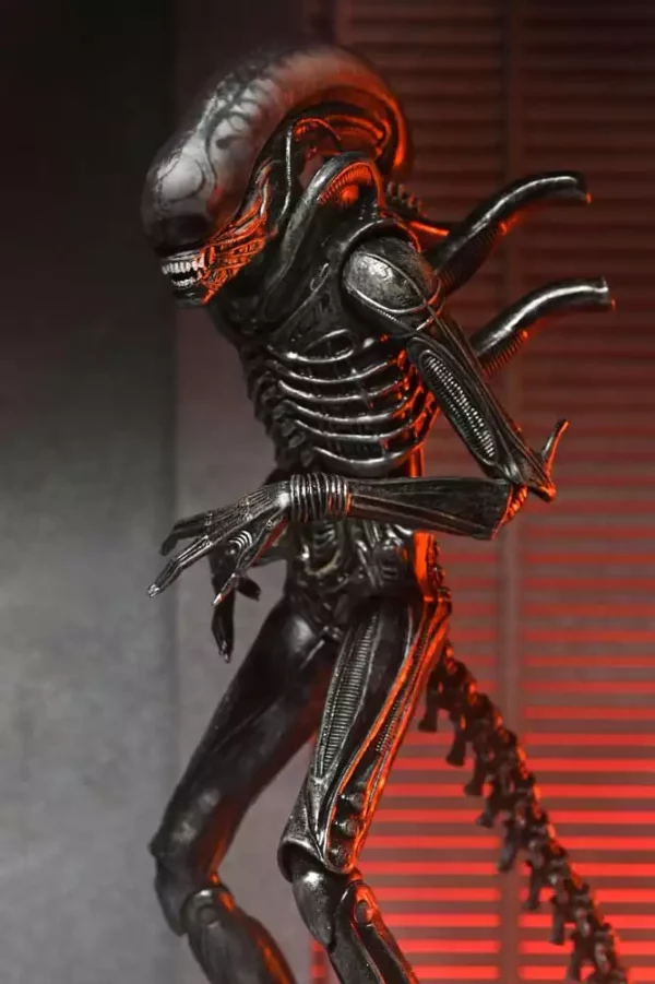 alien-romulus-action-figure-ultimate-xenomorph-xx121-18-cm-1751246771-1 alien-romulus-action-figure-ultimate-xenomorph-xx121-18-cm-1751246771-1