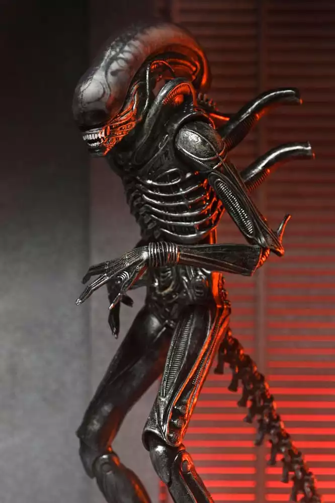 alien-romulus-action-figure-ultimate-xenomorph-xx121-18-cm-1751246771-1