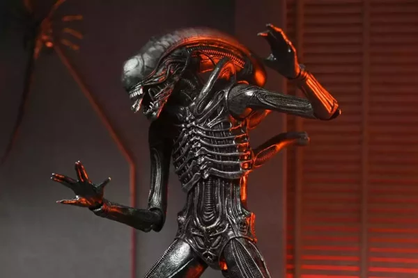 alien-romulus-action-figure-ultimate-xenomorph-xx121-18-cm-1751246779-5 alien-romulus-action-figure-ultimate-xenomorph-xx121-18-cm-1751246779-5