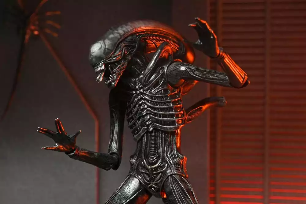 alien-romulus-action-figure-ultimate-xenomorph-xx121-18-cm-1751246779-5