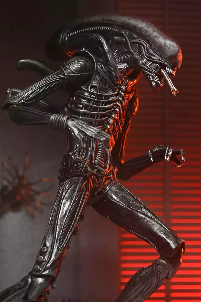 alien-romulus-action-figure-ultimate-xenomorph-xx121-18-cm-1751246781-6