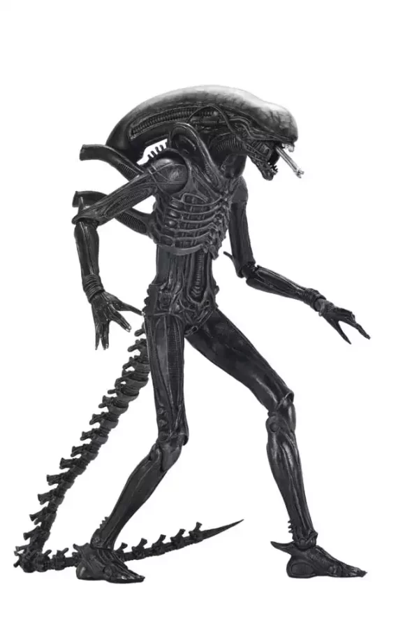 alien-romulus-action-figure-ultimate-xenomorph-xx121-18-cm-1751246784-7 alien-romulus-action-figure-ultimate-xenomorph-xx121-18-cm-1751246784-7