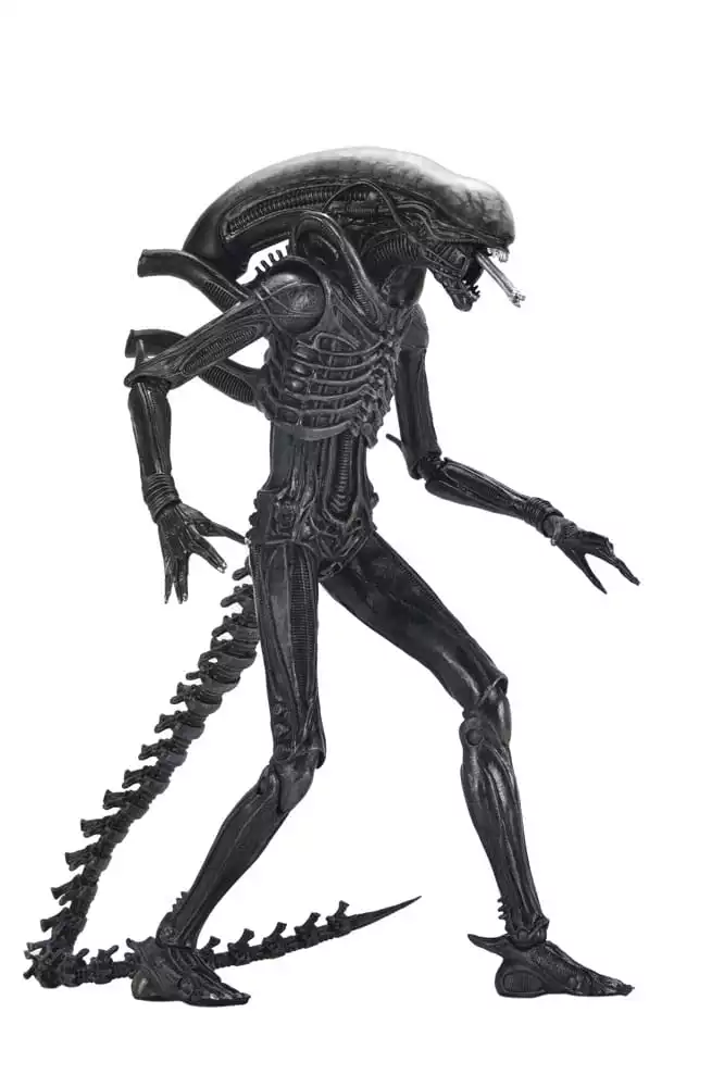 alien-romulus-action-figure-ultimate-xenomorph-xx121-18-cm-1751246784-7