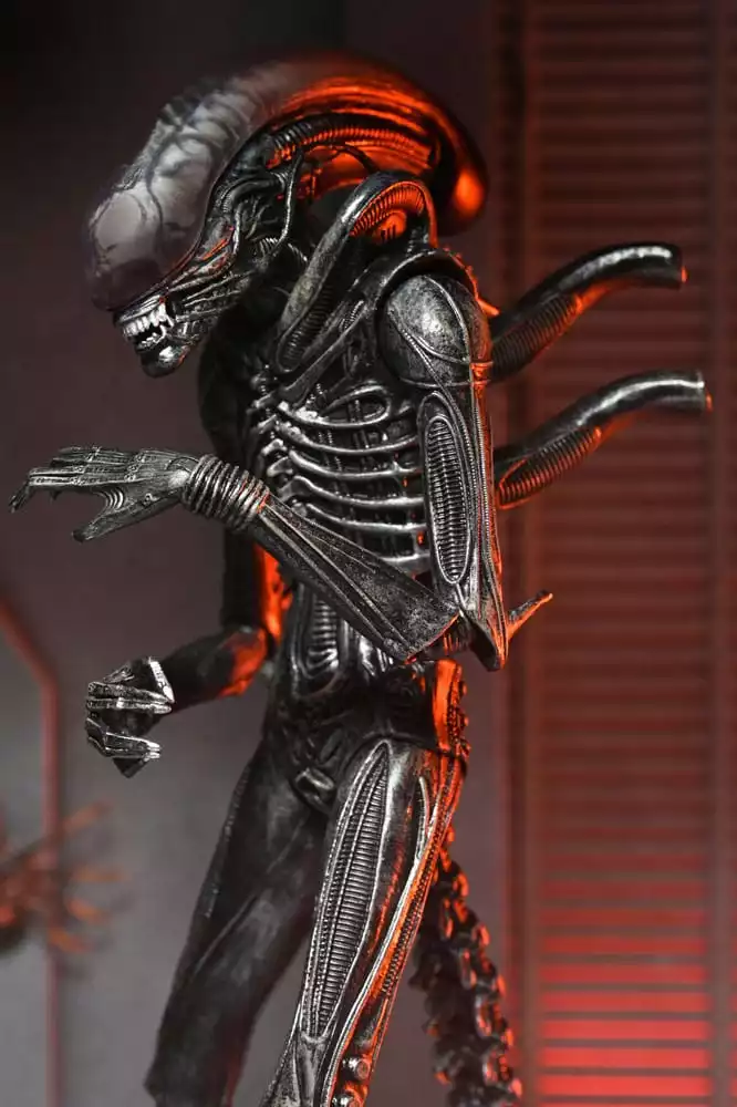 alien-romulus-action-figure-ultimate-xenomorph-xx121-18-cm-1751246786-8