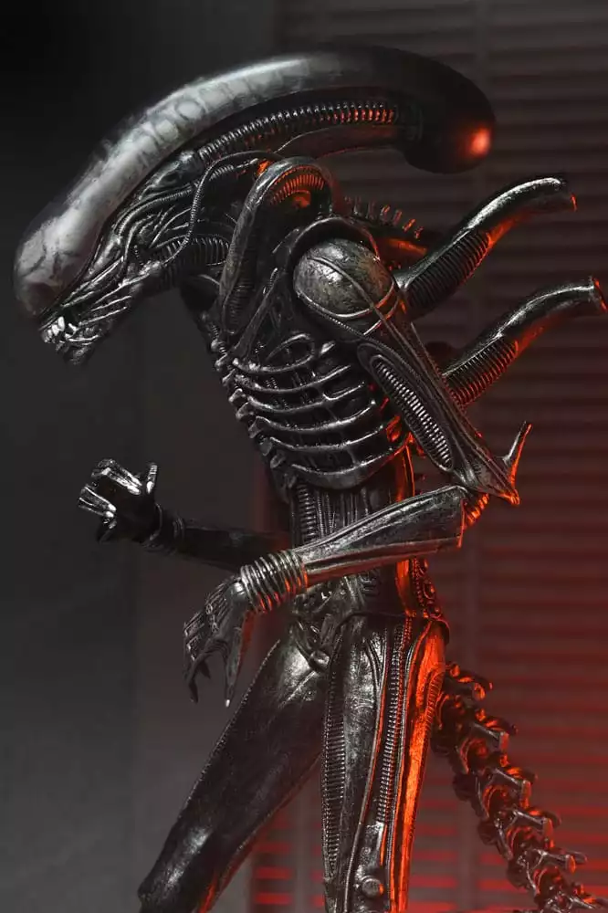 alien-romulus-action-figure-ultimate-xenomorph-xx121-18-cm-1751246790-10