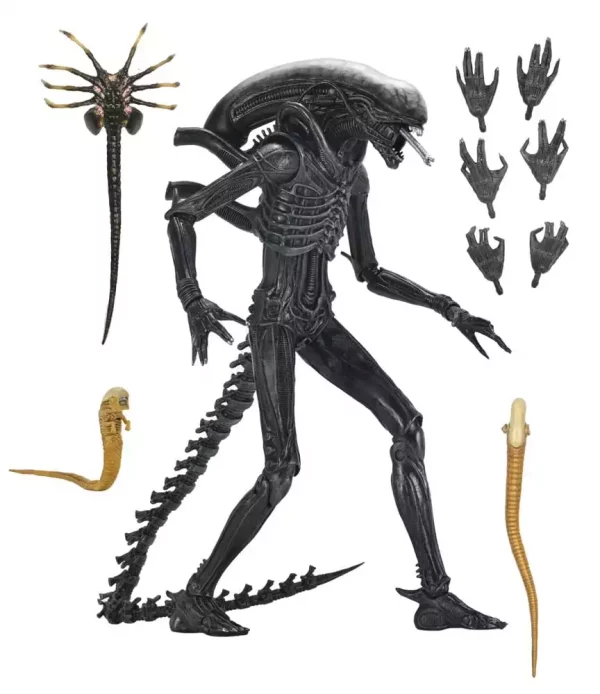 alien-romulus-action-figure-ultimate-xenomorph-xx121-18-cm-1751246798-14 alien-romulus-action-figure-ultimate-xenomorph-xx121-18-cm-1751246798-14