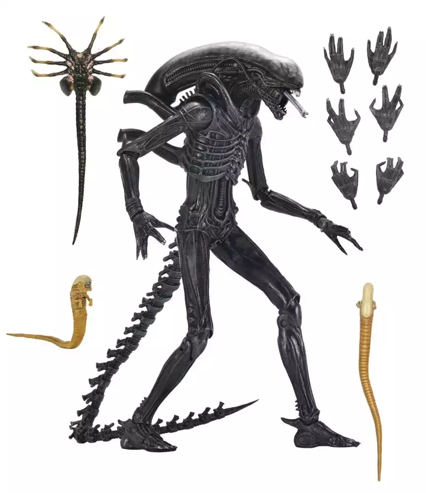alien-romulus-action-figure-ultimate-xenomorph-xx121-18-cm-1751246798-14