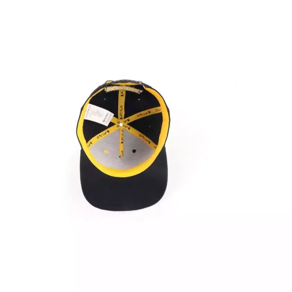 borderlands-snapback-cap-vault-icon-spray-1751149572-1
