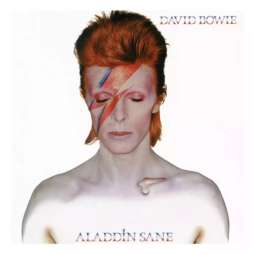 david-bowie-rock-saws-jigsaw-puzzle-aladdin-sane-500-pieces-1751288873-0