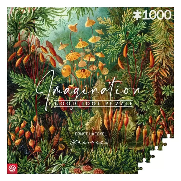 ernst-haeckel-imagination-puzzle-muscinae-1000-pieces-1751150252-0