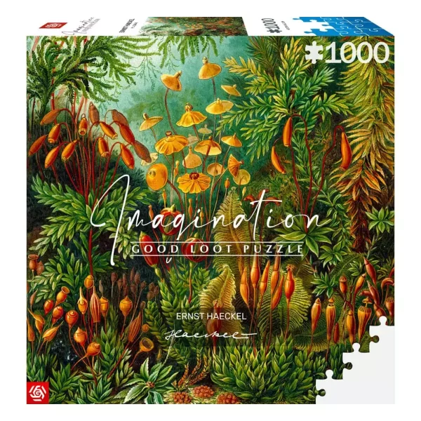 ernst-haeckel-imagination-puzzle-muscinae-1000-pieces-1751150254-1