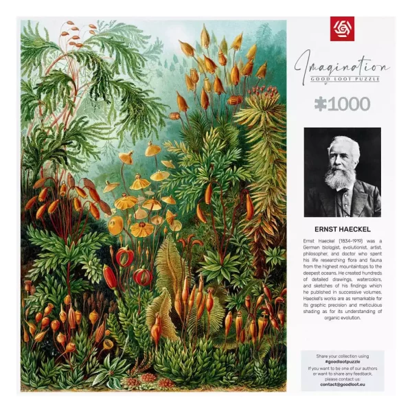 ernst-haeckel-imagination-puzzle-muscinae-1000-pieces-1751150256-3