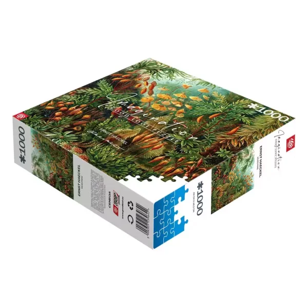 ernst-haeckel-imagination-puzzle-muscinae-1000-pieces-1751150257-4