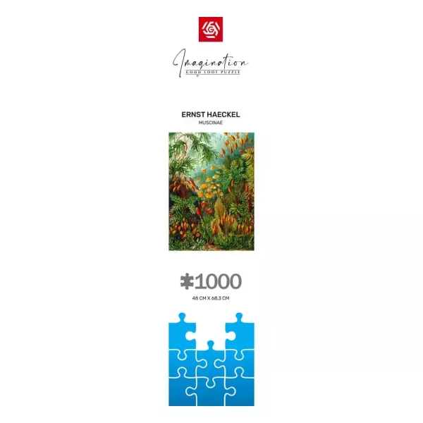 ernst-haeckel-imagination-puzzle-muscinae-1000-pieces-1751150262-9