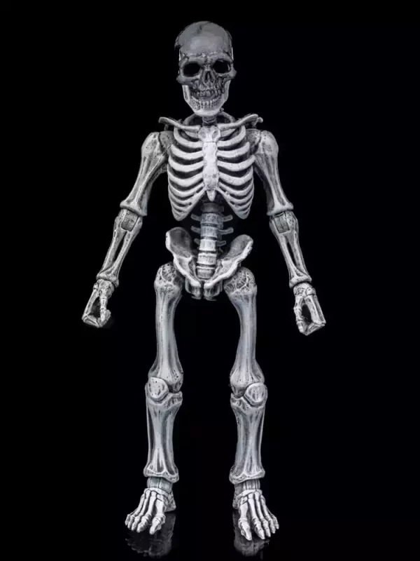 graveyard-skeletons-actionfigures-4-pack-graveyard-skeletons-1751126616-1 graveyard-skeletons-actionfigures-4-pack-graveyard-skeletons-1751126616-1