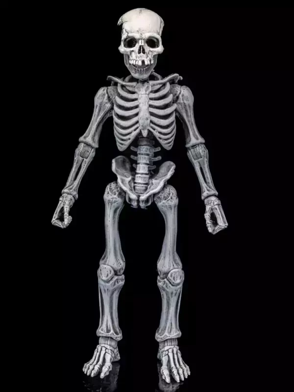 graveyard-skeletons-actionfigures-4-pack-graveyard-skeletons-1751126617-2 graveyard-skeletons-actionfigures-4-pack-graveyard-skeletons-1751126617-2