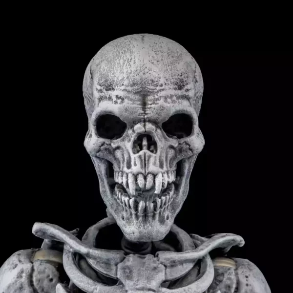 graveyard-skeletons-actionfigures-4-pack-graveyard-skeletons-1751126618-4 graveyard-skeletons-actionfigures-4-pack-graveyard-skeletons-1751126618-4