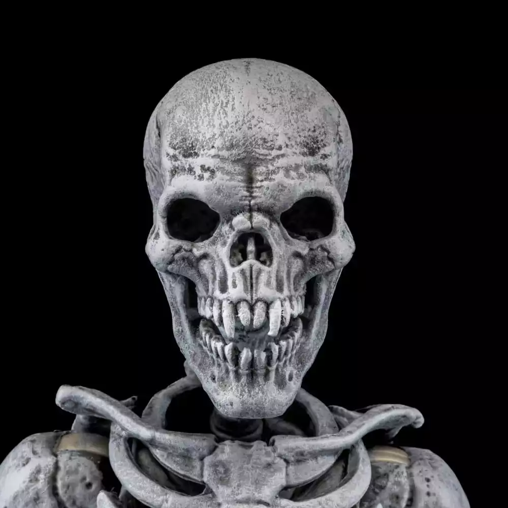 graveyard-skeletons-actionfigures-4-pack-graveyard-skeletons-1751126618-4