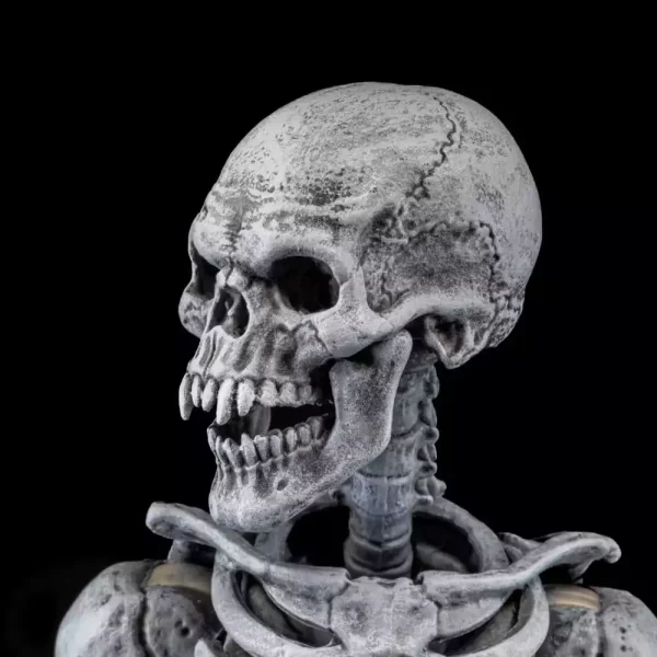 graveyard-skeletons-actionfigures-4-pack-graveyard-skeletons-1751126619-5 graveyard-skeletons-actionfigures-4-pack-graveyard-skeletons-1751126619-5