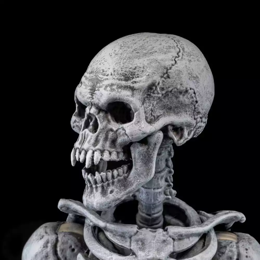 graveyard-skeletons-actionfigures-4-pack-graveyard-skeletons-1751126619-5