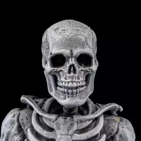 graveyard-skeletons-actionfigures-4-pack-graveyard-skeletons-1751126620-6 graveyard-skeletons-actionfigures-4-pack-graveyard-skeletons-1751126620-6