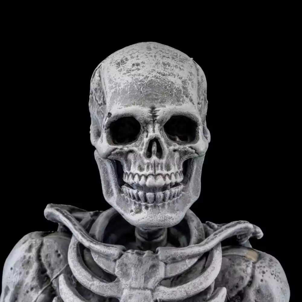 graveyard-skeletons-actionfigures-4-pack-graveyard-skeletons-1751126620-6