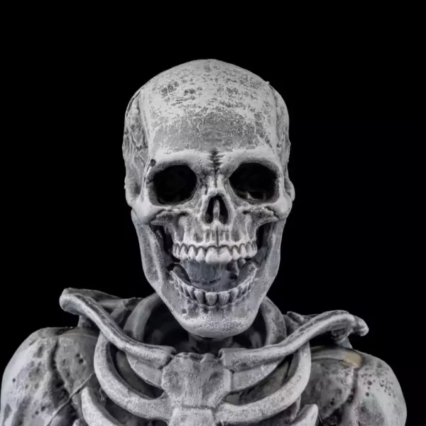 graveyard-skeletons-actionfigures-4-pack-graveyard-skeletons-1751126621-7 graveyard-skeletons-actionfigures-4-pack-graveyard-skeletons-1751126621-7