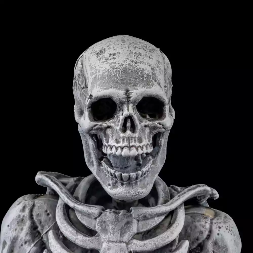 graveyard-skeletons-actionfigures-4-pack-graveyard-skeletons-1751126621-7