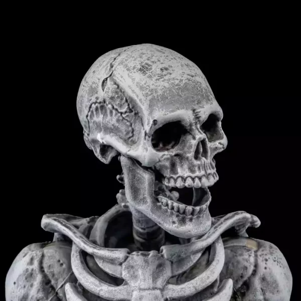 graveyard-skeletons-actionfigures-4-pack-graveyard-skeletons-1751126622-8 graveyard-skeletons-actionfigures-4-pack-graveyard-skeletons-1751126622-8