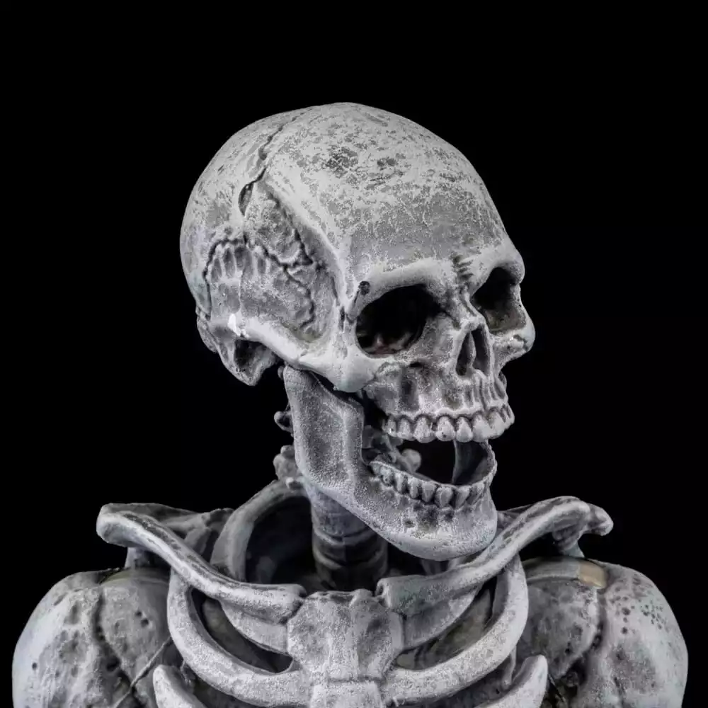 graveyard-skeletons-actionfigures-4-pack-graveyard-skeletons-1751126622-8
