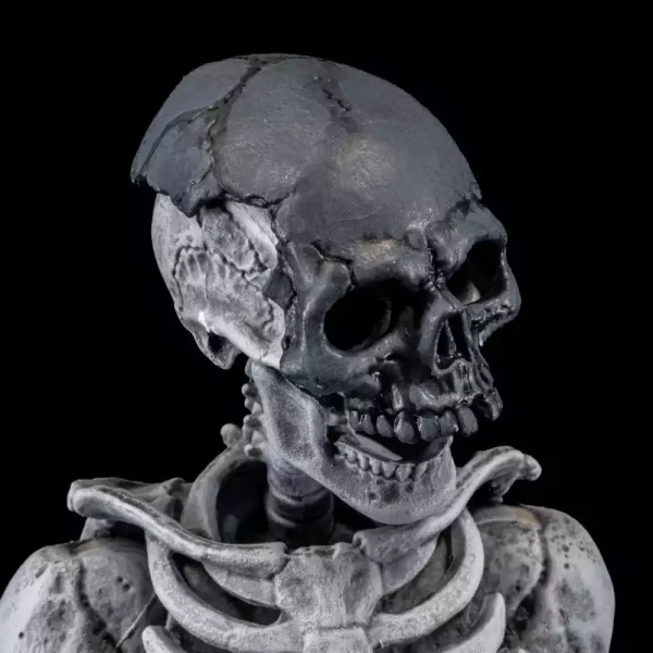 graveyard-skeletons-actionfigures-4-pack-graveyard-skeletons-1751126622-9 graveyard-skeletons-actionfigures-4-pack-graveyard-skeletons-1751126622-9
