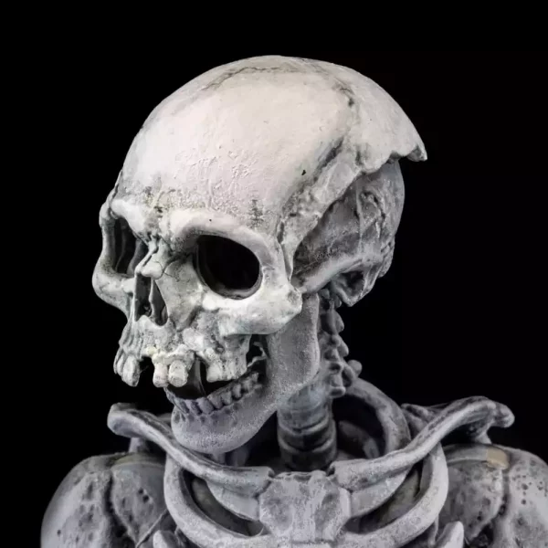 graveyard-skeletons-actionfigures-4-pack-graveyard-skeletons-1751126623-10 graveyard-skeletons-actionfigures-4-pack-graveyard-skeletons-1751126623-10