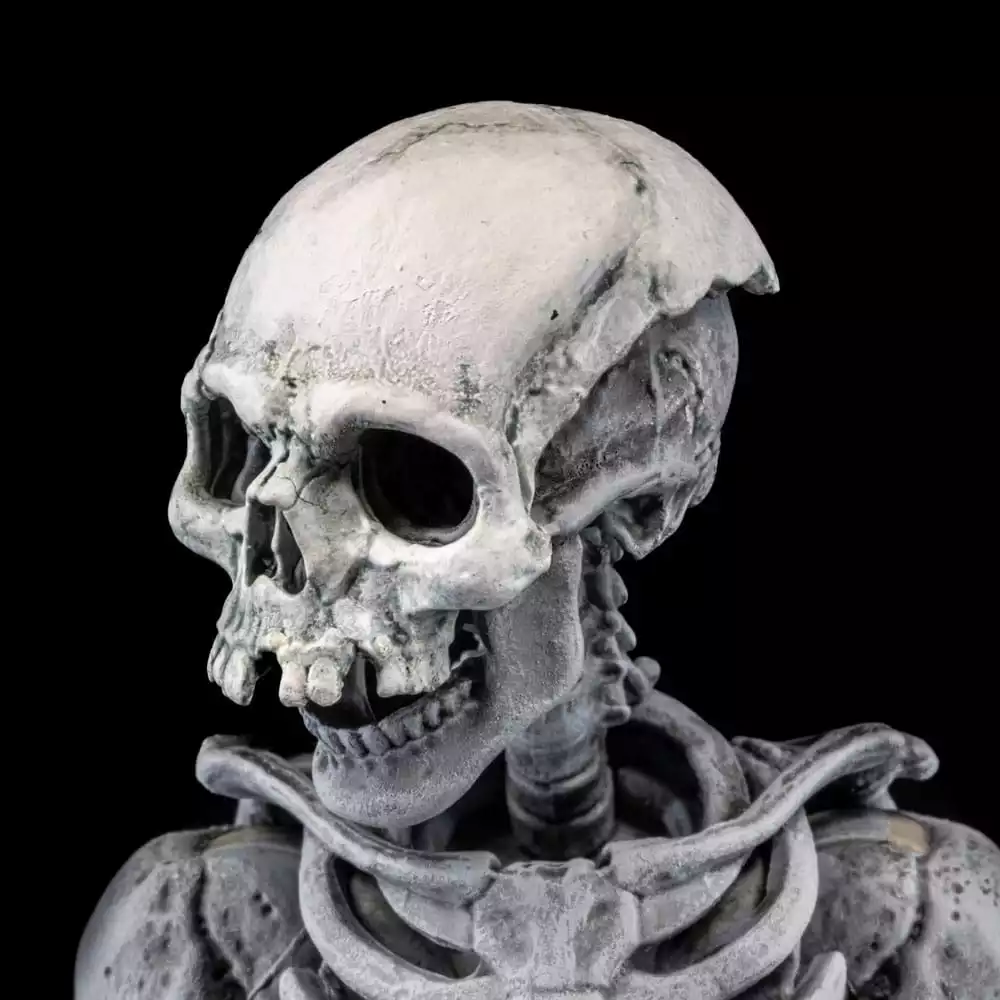 graveyard-skeletons-actionfigures-4-pack-graveyard-skeletons-1751126623-10