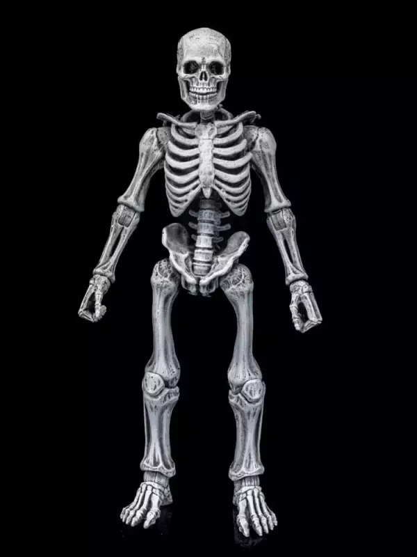 graveyard-skeletons-actionfigures-4-pack-graveyard-skeletons-1751126633-22 graveyard-skeletons-actionfigures-4-pack-graveyard-skeletons-1751126633-22