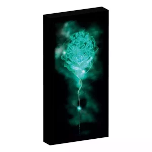 Poster Illuminato Harry Potter