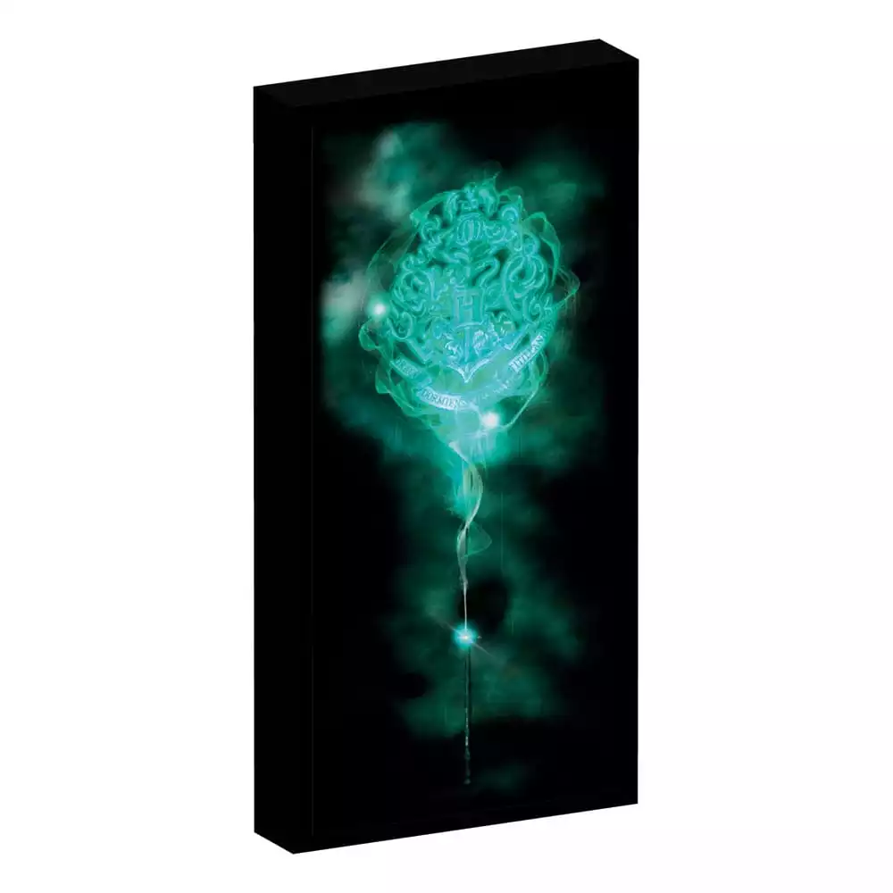 harry-potter-canvas-poster-with-light-1751189635-0