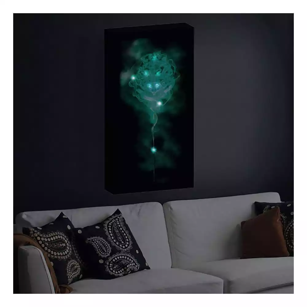 harry-potter-canvas-poster-with-light-1751189636-1