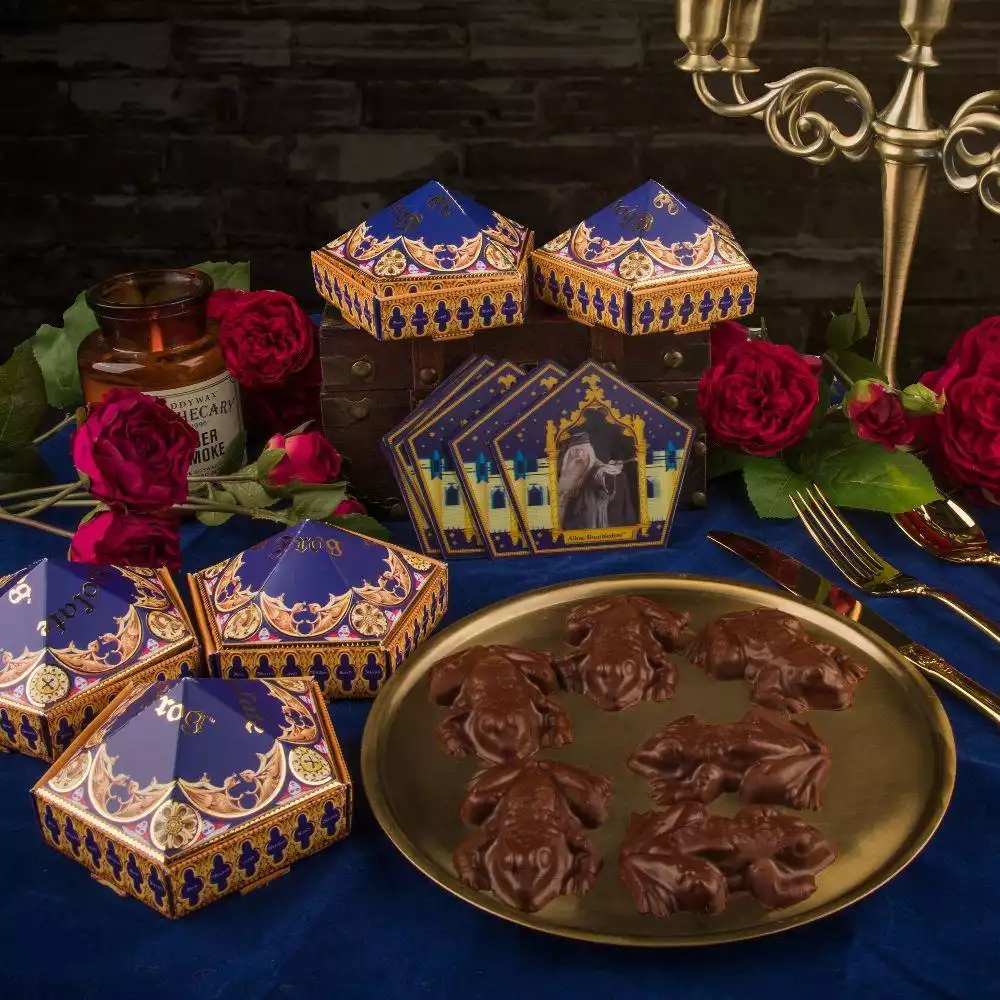 harry-potter-chocolate-frog-mold-new-edition-1751183409-1