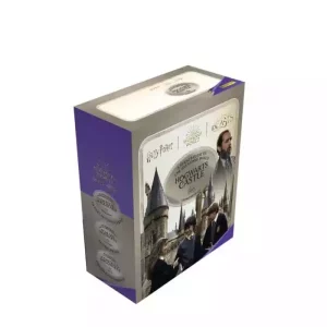 Harry Potter - Castello di Hogwarts - Collezione Adesivi 3 Display (24)