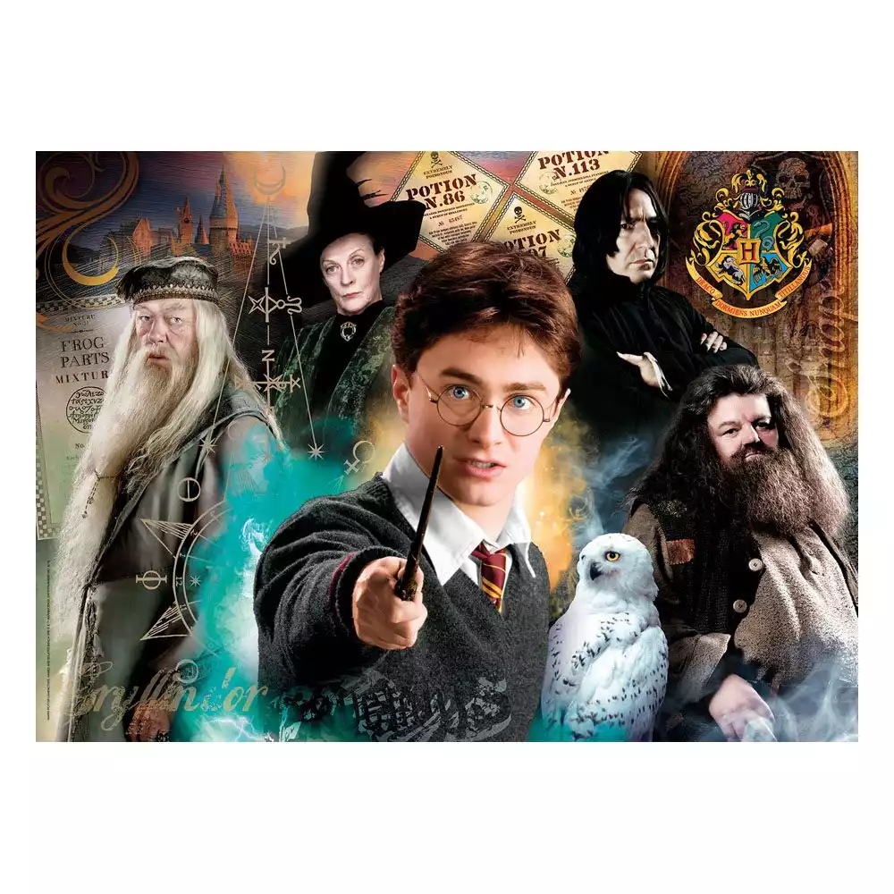 harry-potter-jigsaw-puzzle-harry-at-hogwarts-500-pieces-1751121117-1