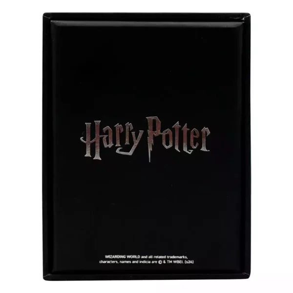 harry-potter-necklace-with-pendant-azkaban-1751133575-2