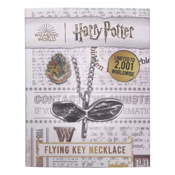 harry-potter-necklace-with-pendant-flying-key-1751133562-5