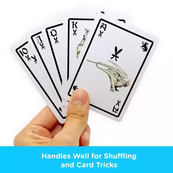 harry-potter-playing-cards-hufflepuff-1751272120-3