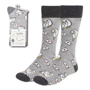 Calzini Harry Potter con Hedwig e Lettera (38-45)