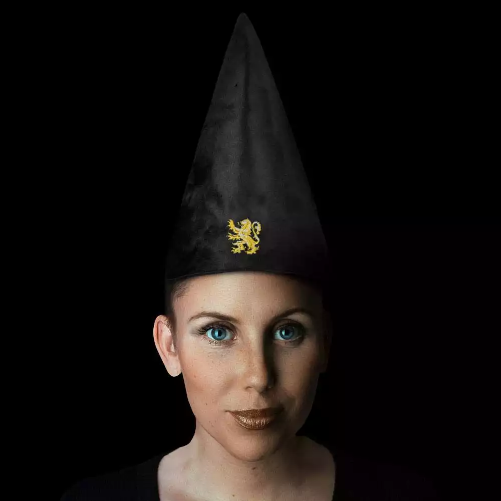 harry-potter-student-hat-gryffindor-32-cm-1751183271-2