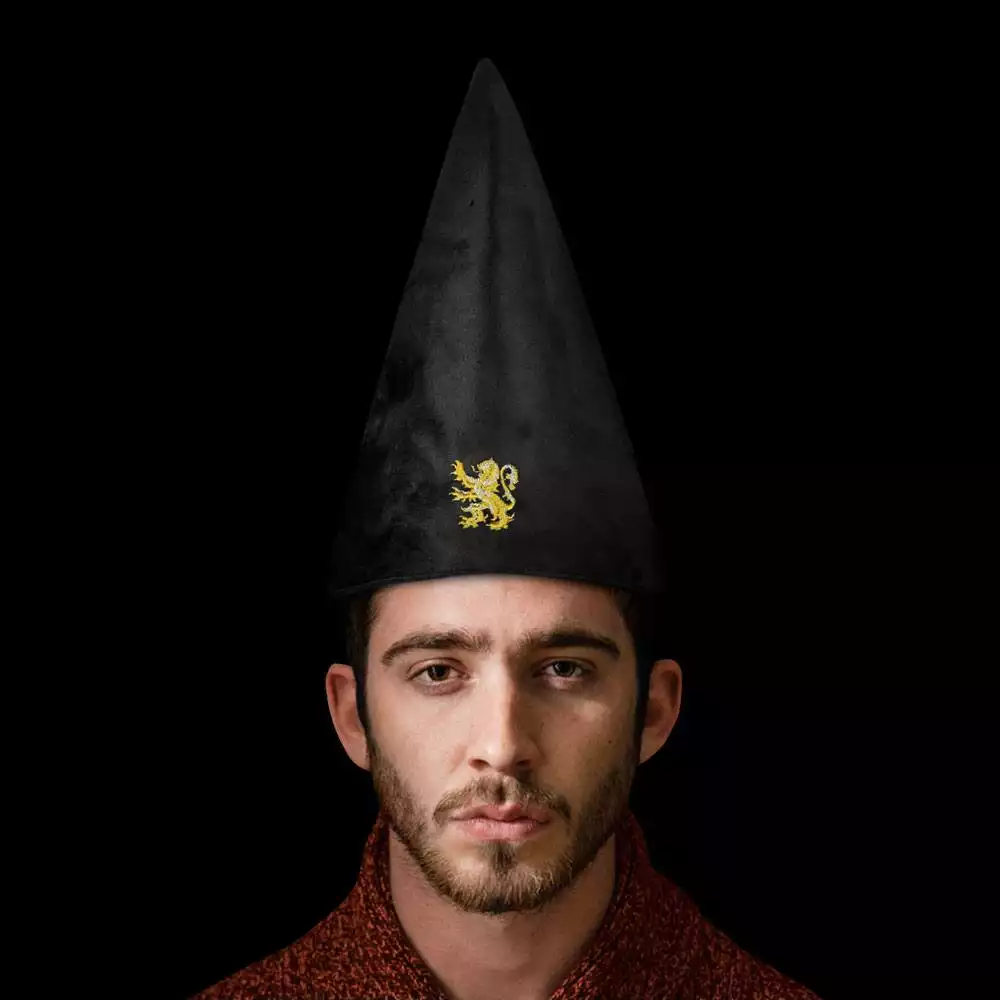 harry-potter-student-hat-gryffindor-32-cm-1751183272-3