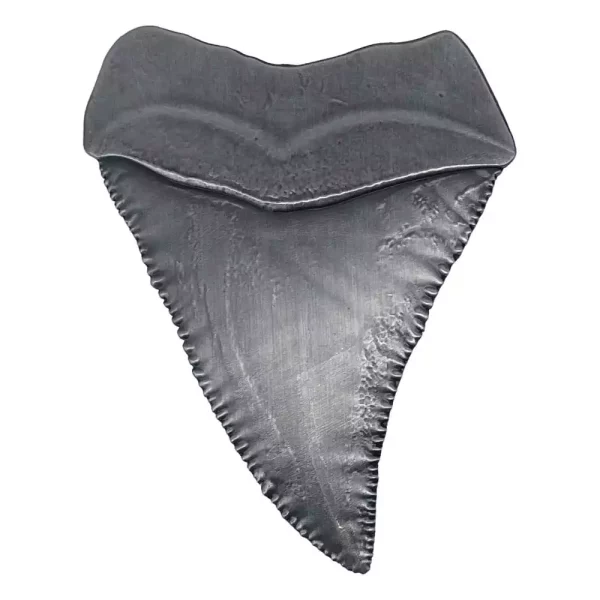 jaws-medallion-50th-anniversary-shark-tooth-1751133385-1